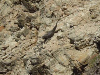SAINT-MARTIN - LES PISCINES-reste-du-monde