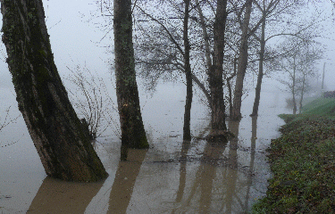 HAUT-LANGOIRAN-gironde