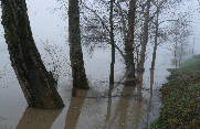 HAUT-LANGOIRAN-gironde