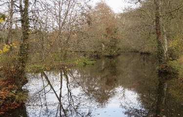 RANDO MARCENAIS 8.8 KM-gironde