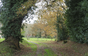 RANDO MARCENAIS 8.8 KM-gironde
