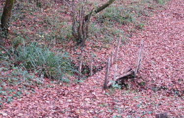 RANDO TIZAC-DE-LAPOUYADE - 9 KM-gironde