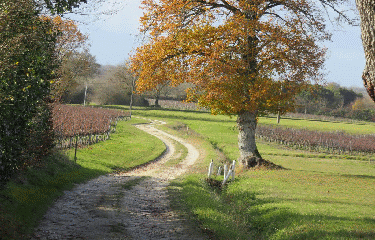 RANDO ST GERVAIS 9.5 KM-gironde