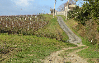 RANDO ST GERVAIS 9.5 KM-gironde