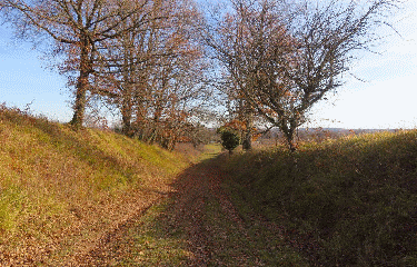 RANDO BLASIMON 7 KM-gironde