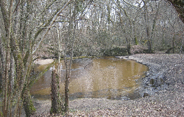 SAINT MORILLON-gironde