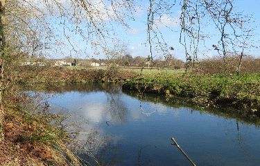 RANDO BLANQUEFORT 13 KM-gironde