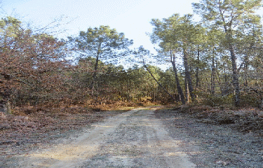 RANDO LAPOUYADE 13.9 KM-gironde