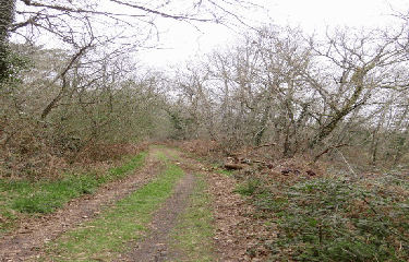 RANDO ST SAVIN 12.6 KM-gironde