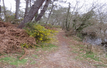 RANDO ST SAVIN 12.6 KM-gironde