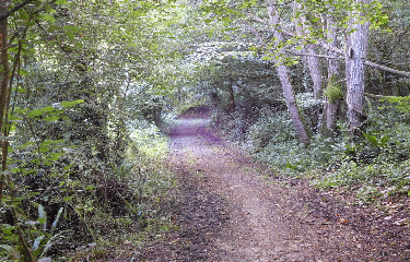 RANDO PRIGNAC ET MARCAMPS 7.3 KM-gironde