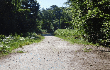 RANDO LE PIAN-MEDOC 13 KM-gironde