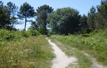 RANDO LE PIAN-MEDOC 13 KM-gironde
