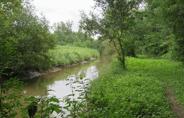 RANDO PRIGNAC ET MARCAMPS 5.2 KM-gironde