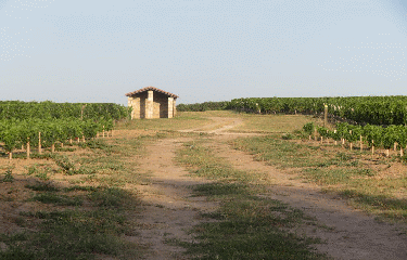 RANDO CIVRAC-DE-BLAYE 14.1 KM-gironde