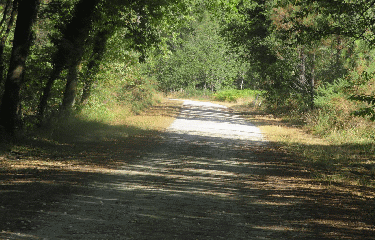 DONNEZAC - CORIGNAC 10.5 KM-gironde