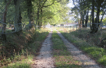 RANDO MARSAS 11.3 KM-gironde