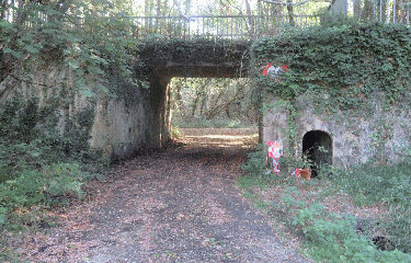 RANDO MARSAS 11.3 KM-gironde