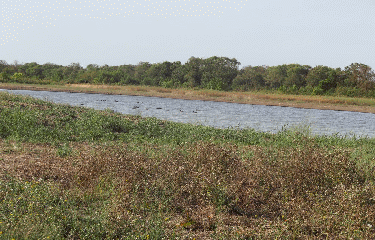 RANDO LES FERRES 7.6 KM-gironde