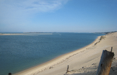 DUNE DU PYLA-gironde