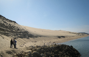 DUNE DU PYLA-gironde