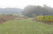 RANDO ST PIERRE DE BAT 19 KM-gironde