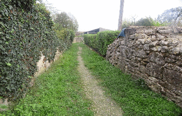 RANDO ST GERVAIS 7.2 KM-gironde