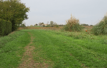 RANDO ST GERVAIS 7.2 KM-gironde