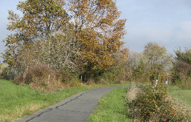 RANDO FOURS 9.8 KM-gironde