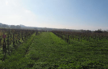 RANDO FOURS 9.8 KM-gironde