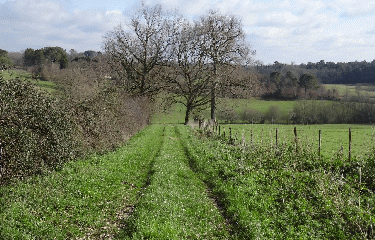 RANDO TIZAC-DE-LAPOUYADE 11 KM-gironde