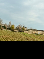 BOUCLE LE TOURNE-BAURECH PAR TABANAC-gironde