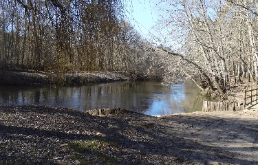 RANDO MIOS 7 KM-gironde