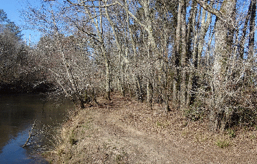 RANDO MIOS 7 KM-gironde