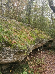 RANDO LUSSAC 16 KM-gironde