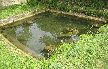 SAINT GERMAIN DU PUCH-gironde