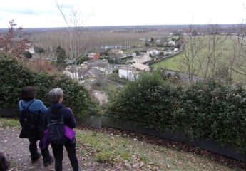 CAMBES-ST CAPRAIS-BAURECH-BOUCLE 6 CDC LES PORTES DE L'ENTRE DEUX MERS-gironde