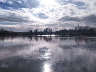 LE TOURNE - LANGOIRAN - BOUCLE 8 - CDC PORTES DE L'ENTRE DEUX MERS
