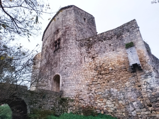 LE TOURNE - LANGOIRAN - BOUCLE 8 - CDC PORTES DE L'ENTRE DEUX MERS-gironde