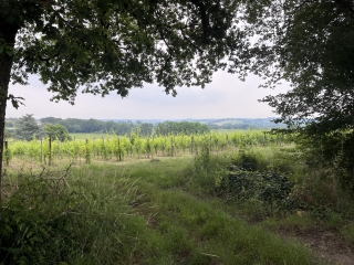 TABANAC-LE-TOURNE-BOUCLE - 7 - CDC-PORTES DE L’ENTRE-DEUX-MERS-gironde