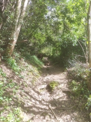 LATRESNE, CENAC - CAMBLANES - -BOUCLE 1 CDC LES PORTES DE L'ENTRE DEUX MERS-gironde