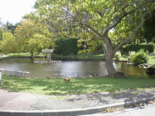 GUJAN MESTRAS - BASSIN ARCACHON -gironde