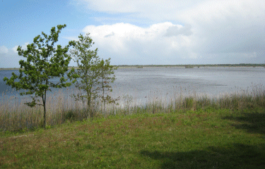 Etang du Cousseau.-gironde