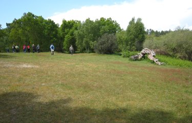 Etang du Cousseau.-gironde