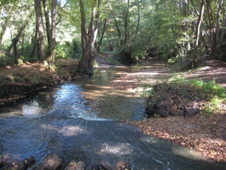 CESTAS-gironde