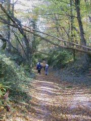 CHATEAU DE CARIGNAN-gironde