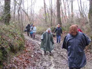 BOIS DU TAILLAN-gironde
