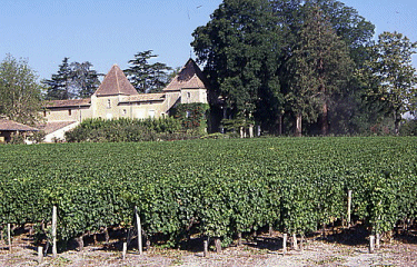 Autour de Leognan-gironde