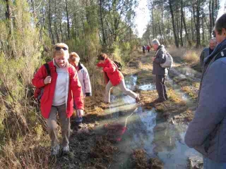 SAINT-AUBIN-DE-MEDOC(3)-gironde