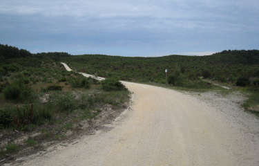 Entre lac et ocean-gironde